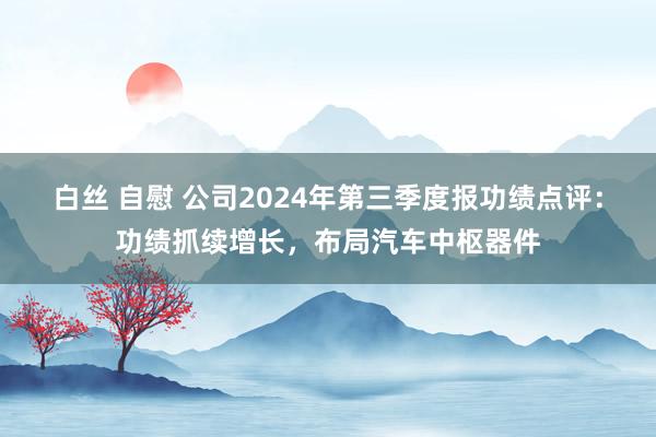 白丝 自慰 公司2024年第三季度报功绩点评:功绩抓续增长,布局汽车中枢器件