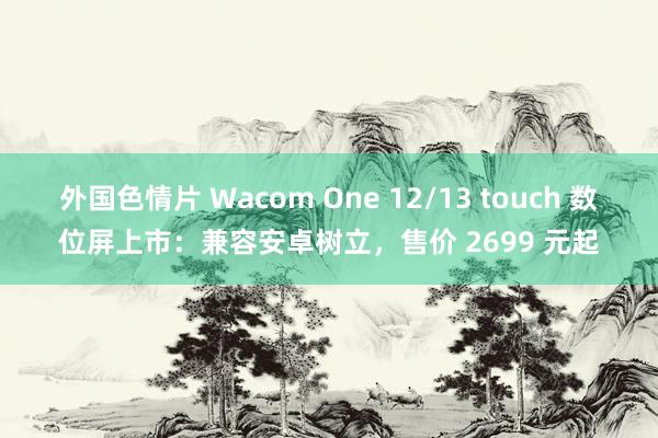 外国色情片 Wacom One 12/13 touch 数位屏上市：兼容安卓树立，售价 2699 元起